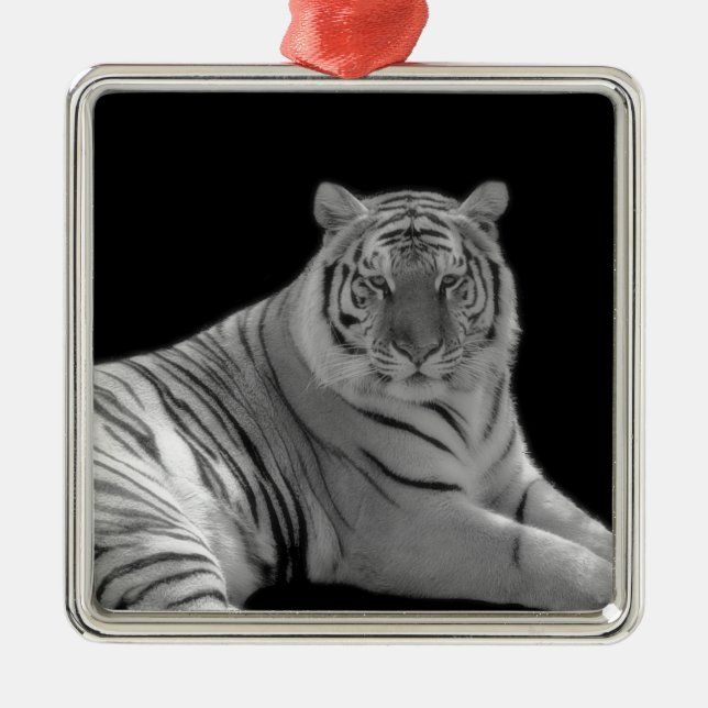 Metal Ornamento de Tigre Branco (Frente)