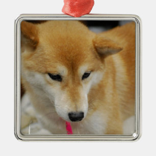 Metal Ornamento do cão de Shiba Inu