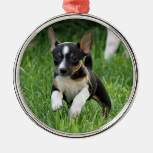 Metal Ornamento do terrier de rato