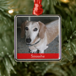 Metal Ornamento Personalizado de Cães de Foto