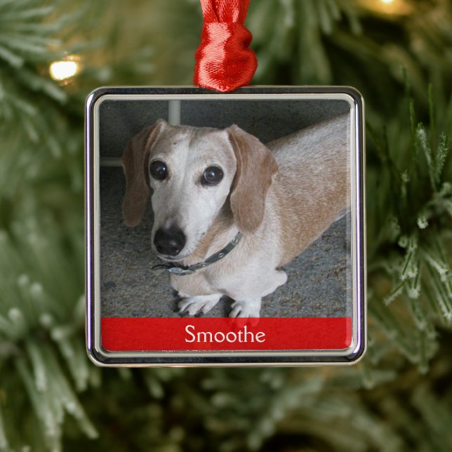 Metal Ornamento Personalizado de Cães de Foto (Árvore)