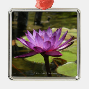 Metal Ornamento Quadrado de Lily Premium Water