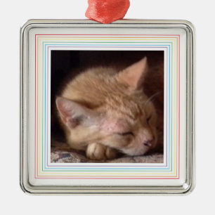 Metal Ornamento Quadrado Padrado de PET LOVE Premium / A