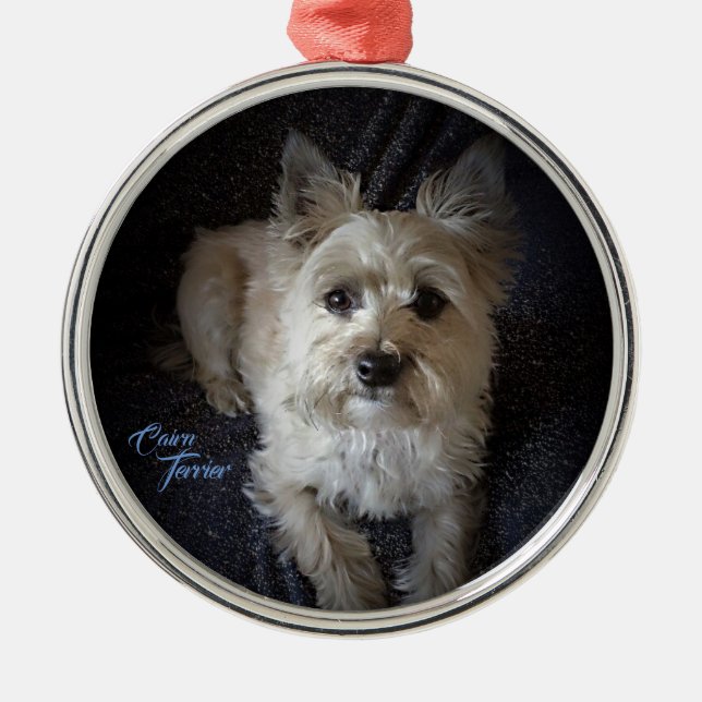 Metal Ornamento redondo superior de Cairntensity (Frente)