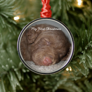Metal Puppy Meu Primeiro Ornamento Fotográfico De Natal