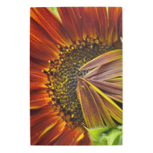 Metal Wall Art Sunflower