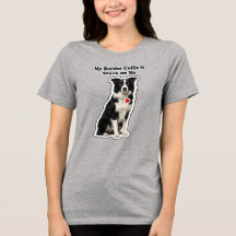 Meu Border Collie é obcecado por mim Amante de cac