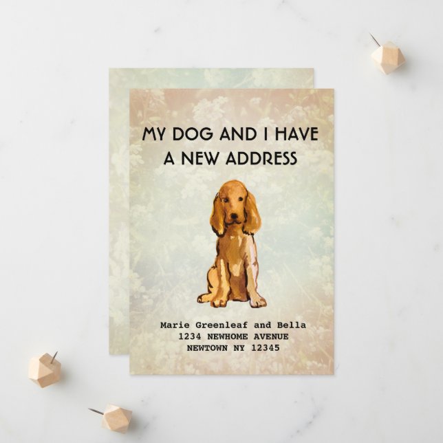 Meu cachorro e eu nos mudamos Anúncio (Frente/Verso In Situ)