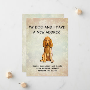 Meu cachorro e eu nos mudamos Anúncio