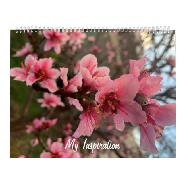 Meu calendário de Inspiração (Capa)