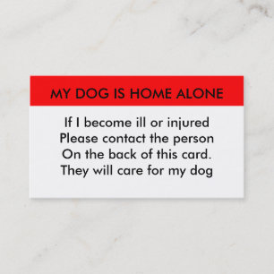 Meu cão é cartão sozinho home do contato