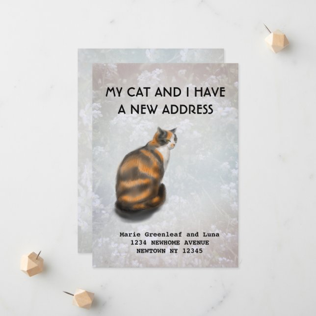 Meu gato e eu mudamos o anúncio (Frente/Verso In Situ)