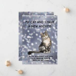 Meu gato e eu mudamos o anúncio