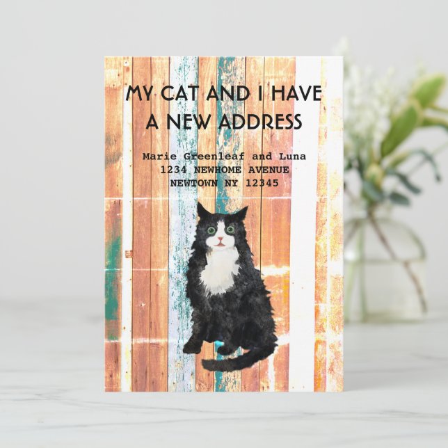 Meu gato e eu mudamos o anúncio (Em pé/Frente)