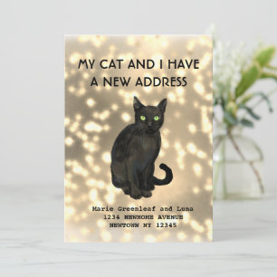 Meu gato e eu mudamos o anúncio