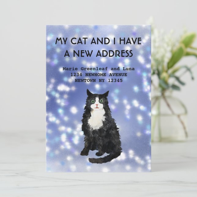 Meu gato e eu mudamos o anúncio (Em pé/Frente)