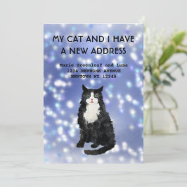 Meu gato e eu mudamos o anúncio