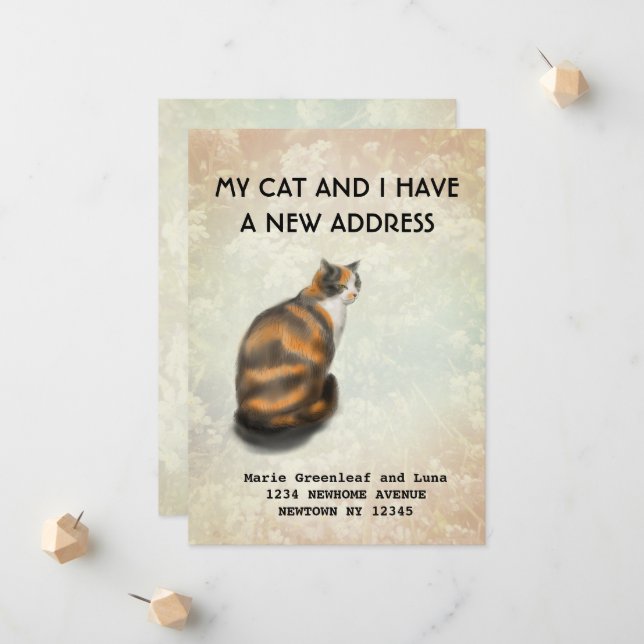 Meu gato e eu mudamos o anúncio (Frente/Verso In Situ)