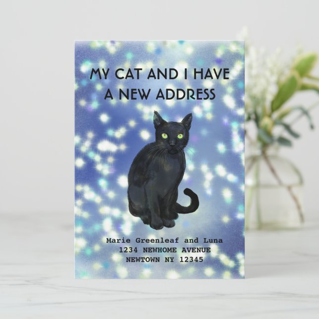 Meu gato e eu nos mudamos Anúncio (Em pé/Frente)