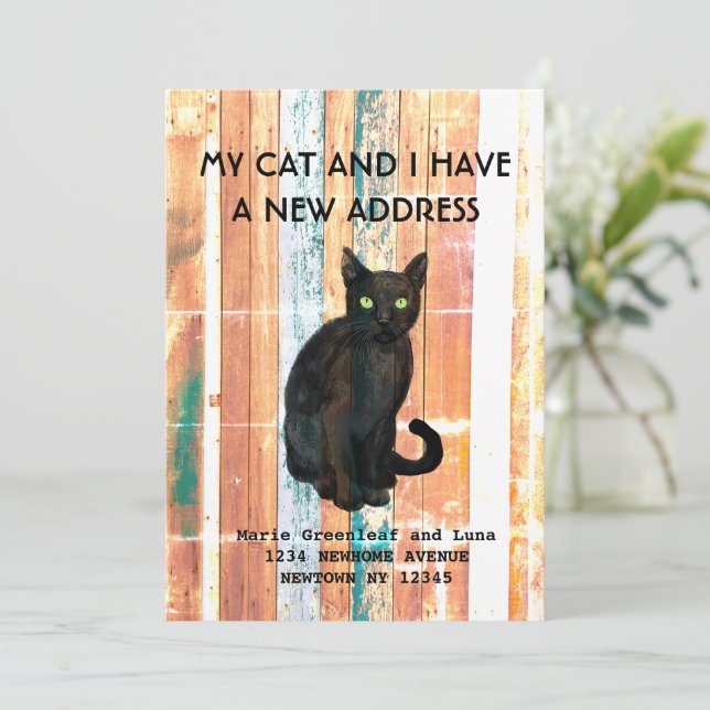 Meu gato e eu nos mudamos Anúncio (Em pé/Frente)