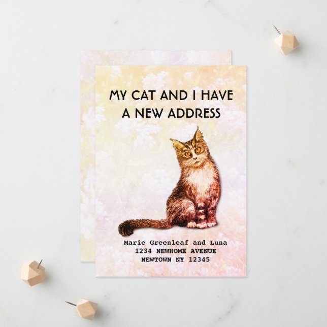 Meu gato e eu nos mudamos Anúncio (Frente/Verso In Situ)