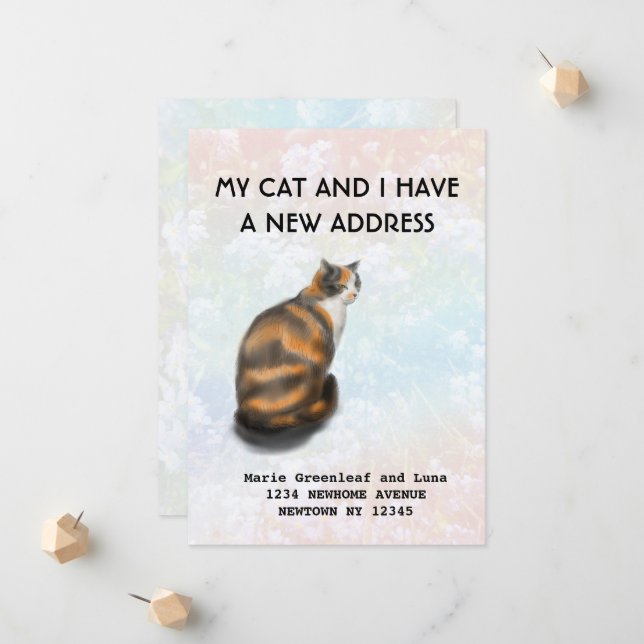 Meu gato e eu nos mudamos Anúncio (Frente/Verso In Situ)