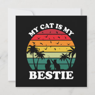 Meu Gato É Meu Melhor Amigo