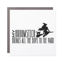 Meu Magneto Broomstick