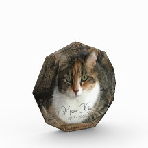 Meu Memorial de Foto do Gato