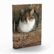 Meu Memorial de Foto do Gato