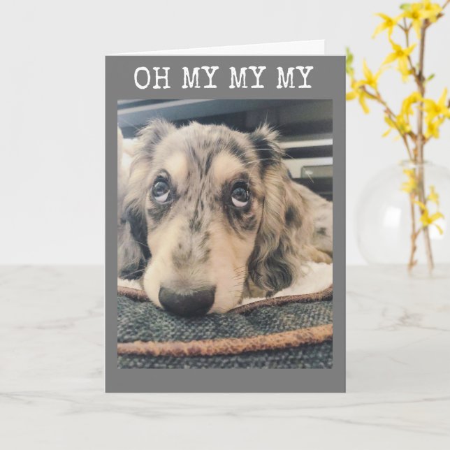 MEU MEU QUE VOCÊ ESTÁ RODANDO ***16** CARTÃO (Flor Amarela)