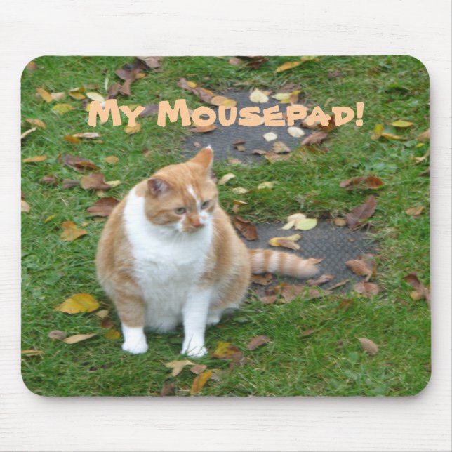 Meu Mousepad (Frente)