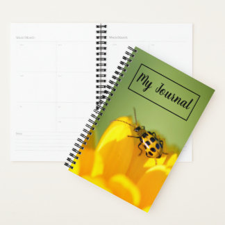 Meu Planejador de Diários