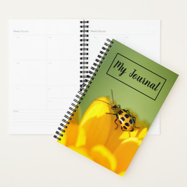 Meu Planejador de Diários (Exibição)