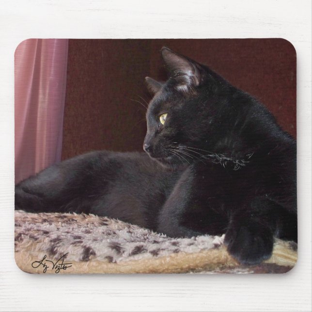 Meu Rapaz, Charlie Mousepad (Frente)