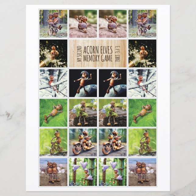Meu Segundo Acorn Elves Memory Game 3/3 (Frente)