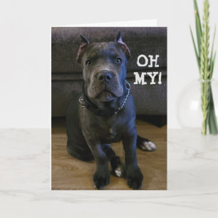 MEU... VOCÊ ESTÁ RODANDO "60" CARTÃO DE ANIVERSÁRI