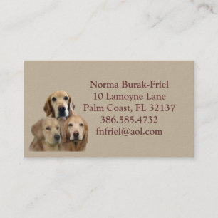 Meus miúdos têm o cartão de visita 2012 de 4 p