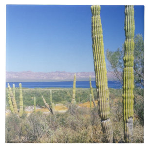 México, Baja California Sur, Mulege, Bahia