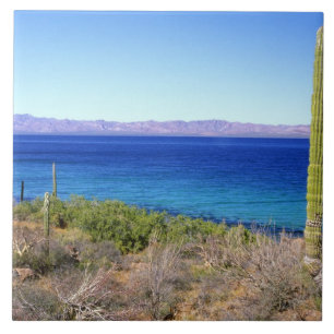 México, Baja California Sur, Mulege, Bahia 2