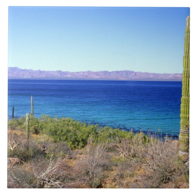 México, Baja California Sur, Mulege, Bahia 2 (Frente)