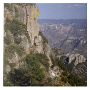 México, estado de Chihuahua, Canyon de cobre. O