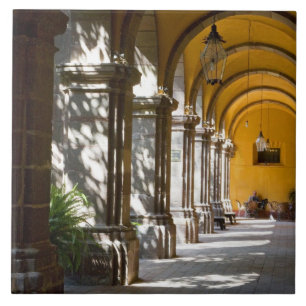 México, estado de Guanajuato, San Miguel de Allen