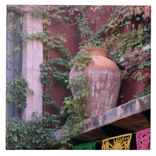 México, San Miguel de Allende, Ivy, pote de argil