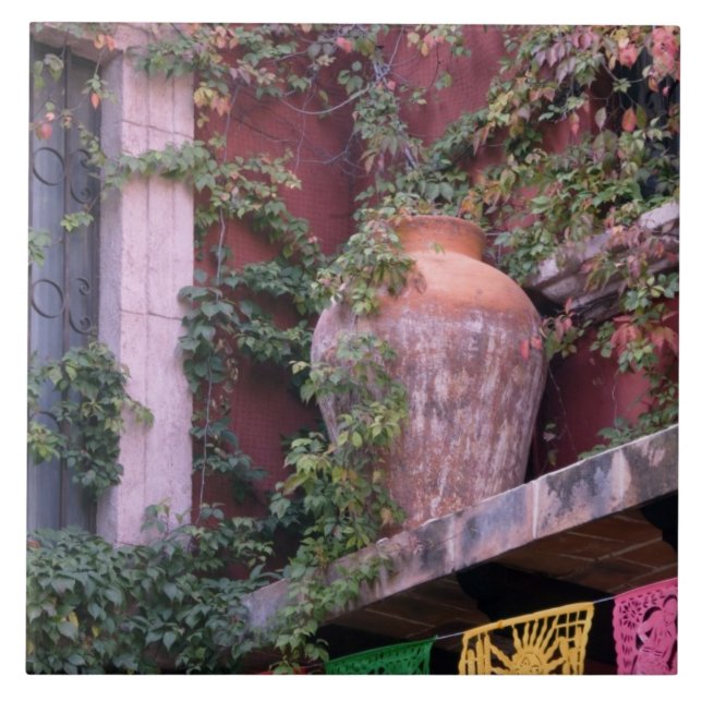 México, San Miguel de Allende, Ivy, pote de argila (Frente)