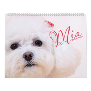Mia - um calendário de Bichon Frise 2014