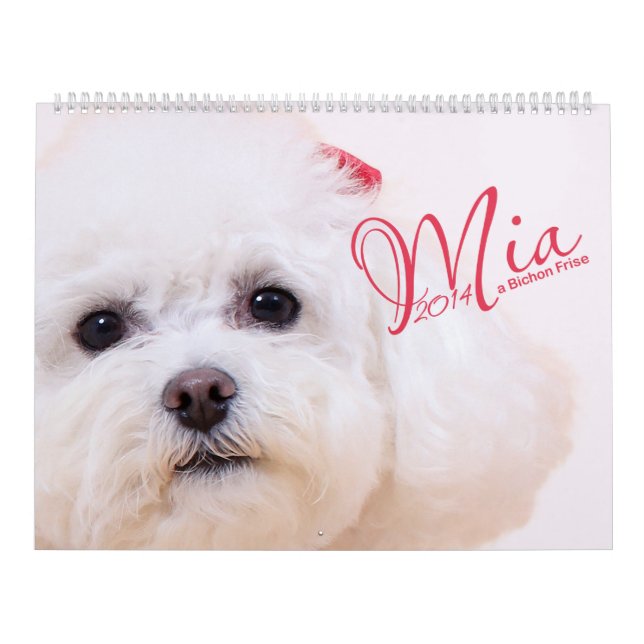 Mia - um calendário de Bichon Frise 2014 (Capa)
