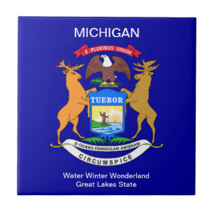Michigan Flag