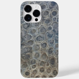 Michigan Petoskey Stone Design