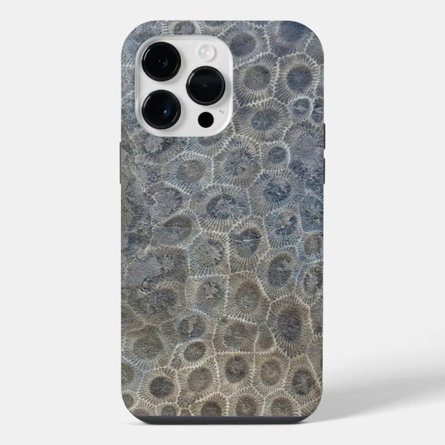 Michigan Petoskey Stone Design (Verso)